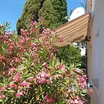 Zara * 茨里克韦尼察